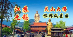 wwwwxnxx江苏无锡灵山大佛旅游风景区